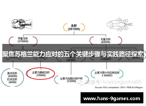 聚焦苏格兰能力应对的五个关键步骤与实践路径探索