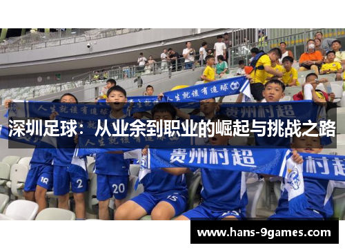 深圳足球：从业余到职业的崛起与挑战之路