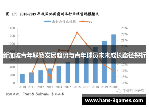 新加坡青年联赛发展趋势与青年球员未来成长路径探析